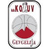 https://img.ltasa.com/img/basketball/team/4b06fe02aaa7da5901e5698485059da0.png